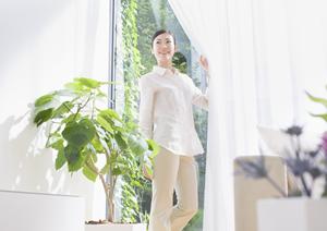 東京で見つける高品質なペルシャ絨毯の魅力と選び方ガイド