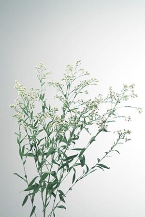 和泉市で理想の住まいを実現するためのリフォームガイド：家族が快適に過ごせる空間作りの秘訣