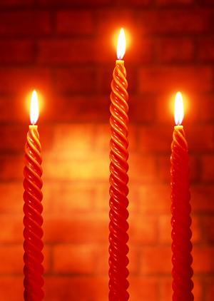 長く愛されるダネーゼの魅力とは