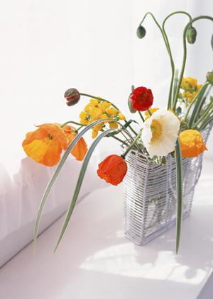 東京でブランド家具の買取はコルトが一番