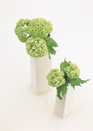 青山の家具で理想のインテリアを実現！デザイン性と機能性を兼ね備えたアイテムガイド