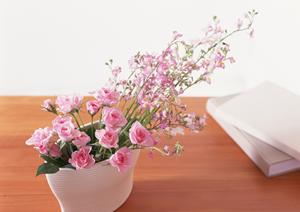 カーテンは信頼できる通販で決まり