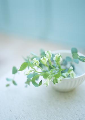 程よい風が快適な住環境を作り出します