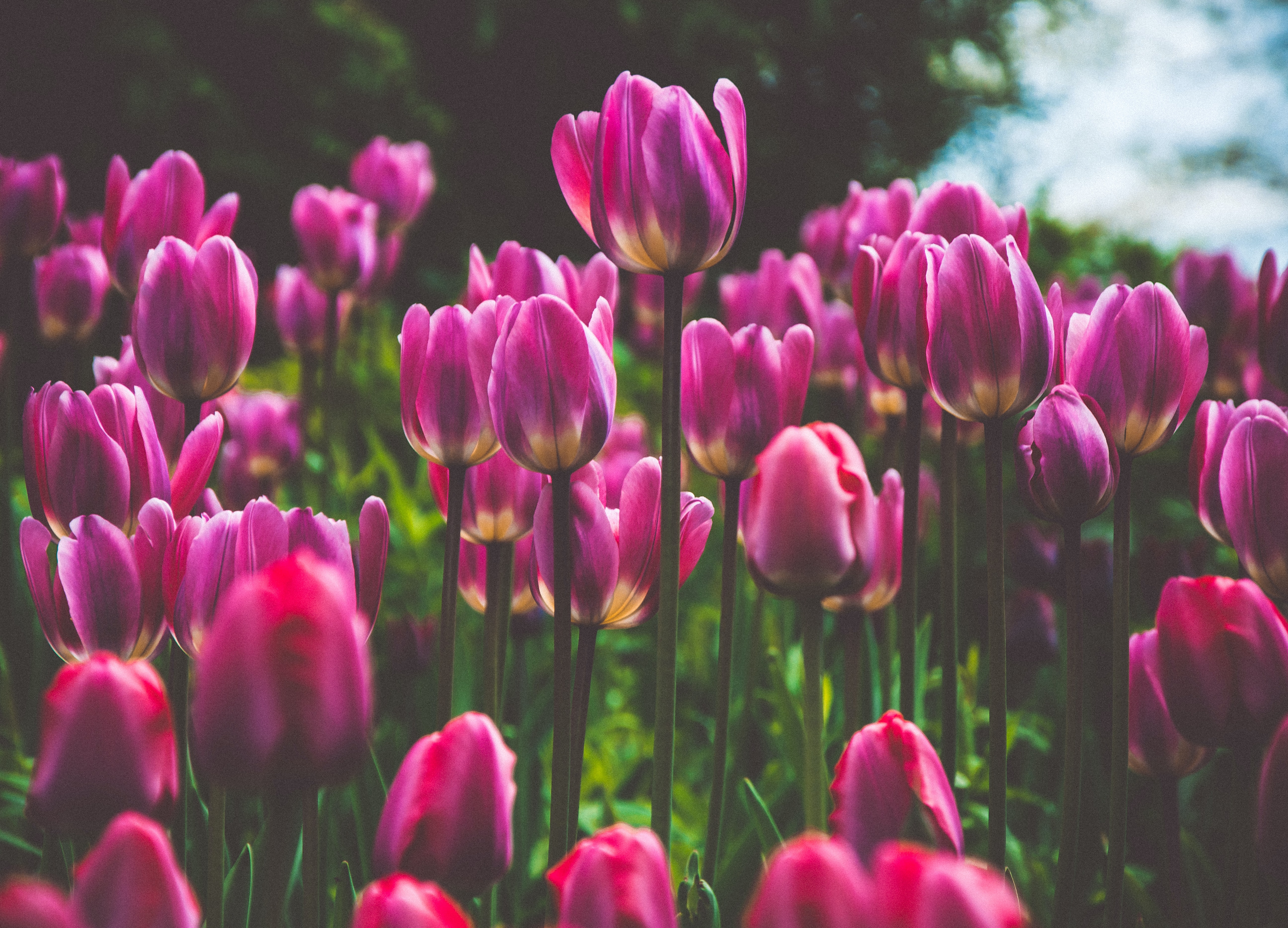 おすすめのマンション管理情報